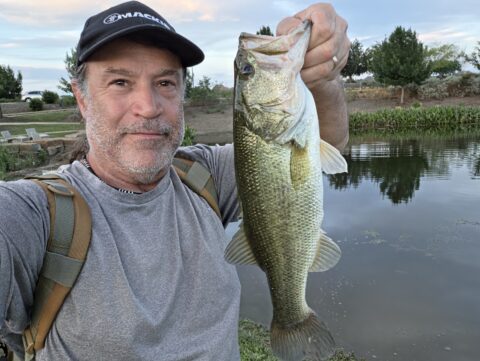 I hit one of the ponds by my house after work yesterday
